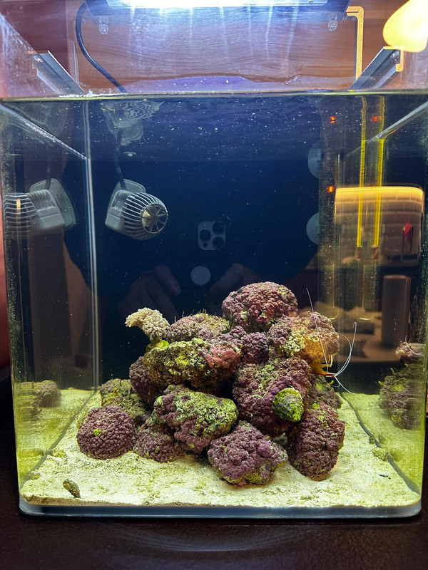 WhatsApp Image 2025-01-16 at 10.06.07(1)