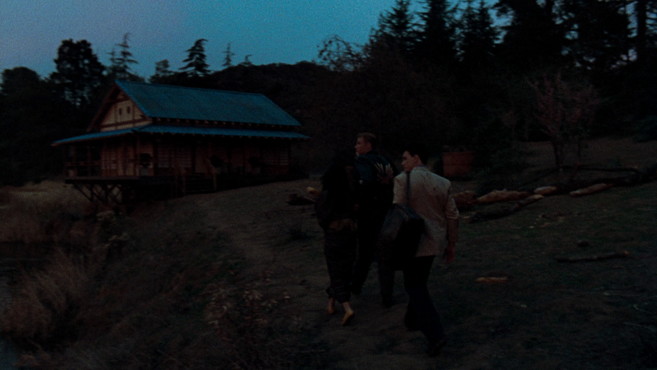 vlcsnap-2023-12-30-19h44m23s957