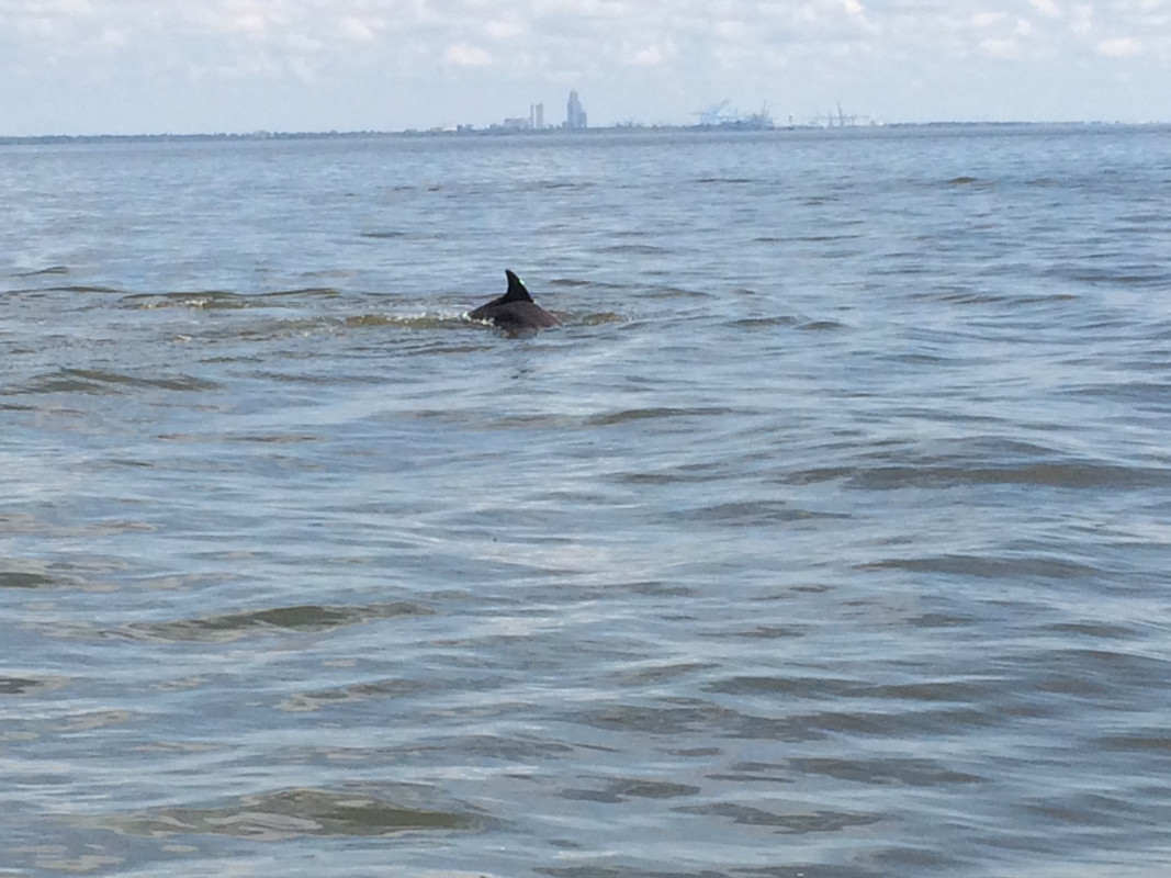 1C96D7D6-1107-4515-8A27-9BAE5764B2D7