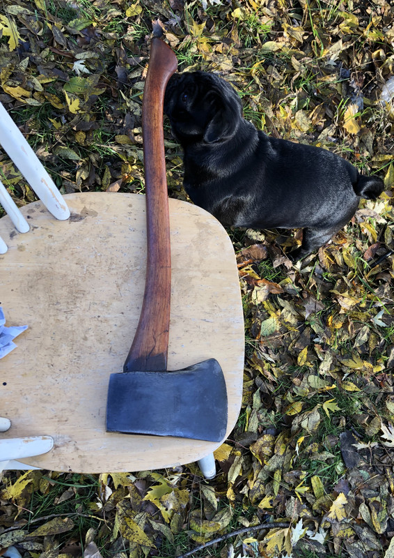 DBB14B37-C6FB-41FD-84B6-0790DA96BBC2