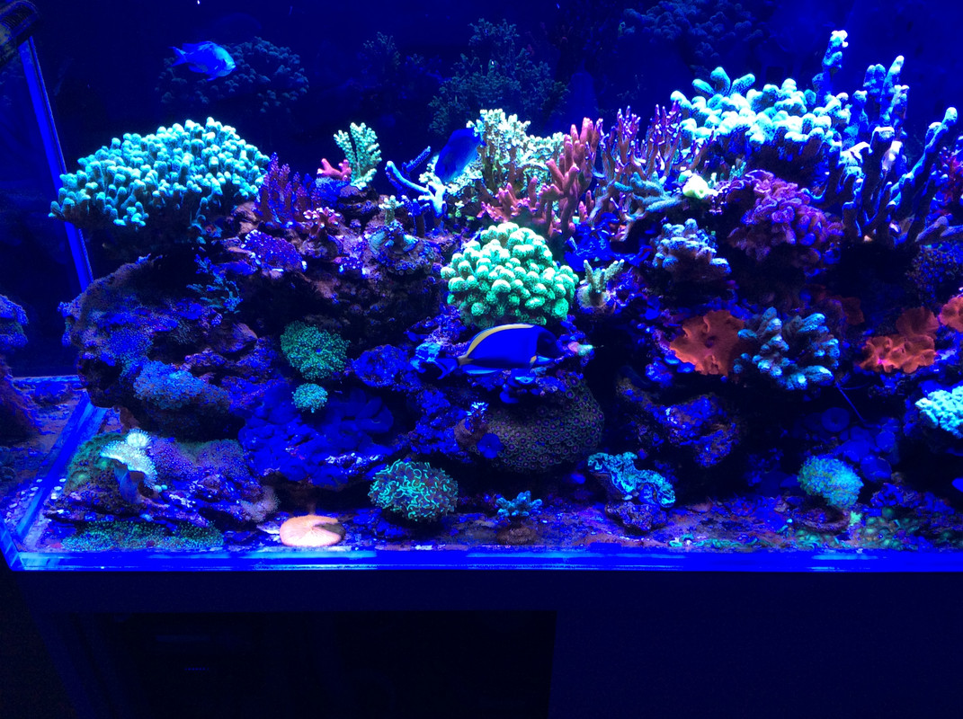 11CC1B03-1657-46A9-AD9B-45DC1BC07BD4