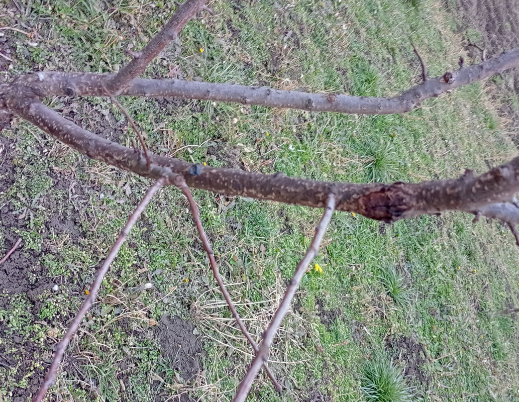 IMG-20220203-162611.jpg