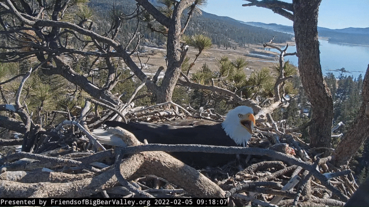 Webp.net-gifmaker (4) (1)