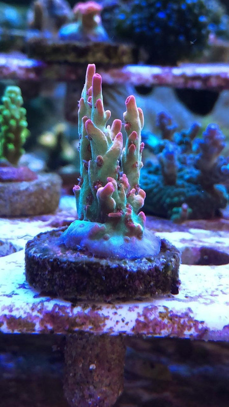 D02F9779-CBCF-4288-978B-CABA58419EAC