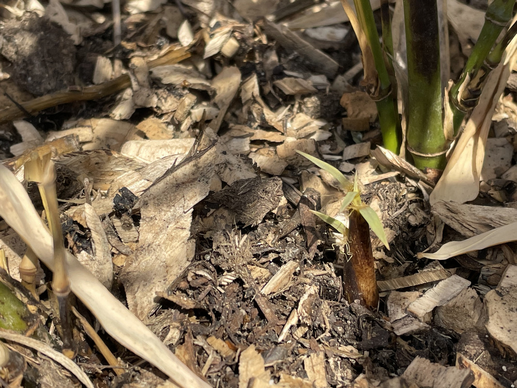 95B97856-3E3A-4202-A472-84F0DD277013