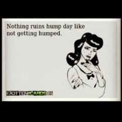 0d0033e2b76279f17a9d20ef426f34f5