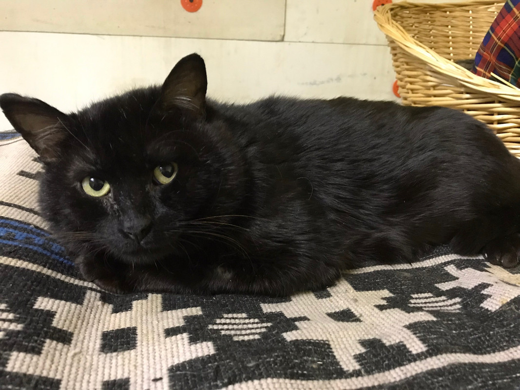 F5ADE5CC-EF64-46F9-A833-137C52A7E280