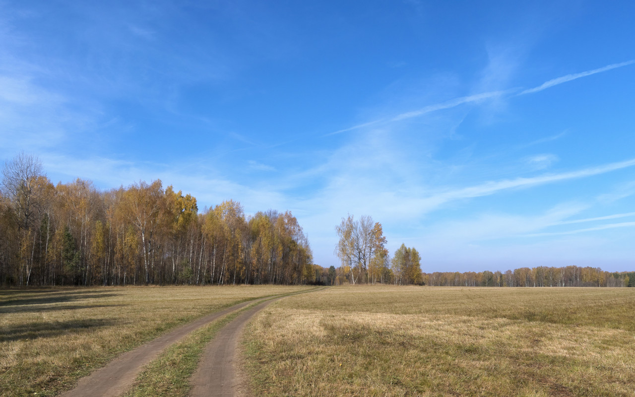 PA111542 copy3_16X10F