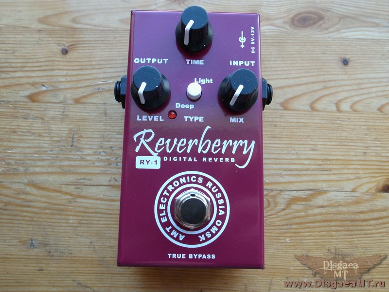 AMT_FX_Digital_Reverb_Reverberry_005