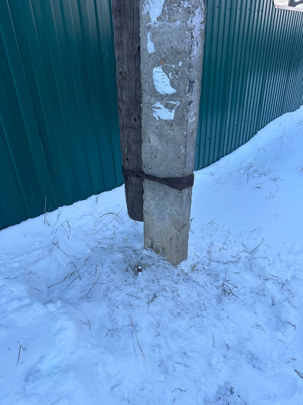 photo 2026 02 05 17 10 53