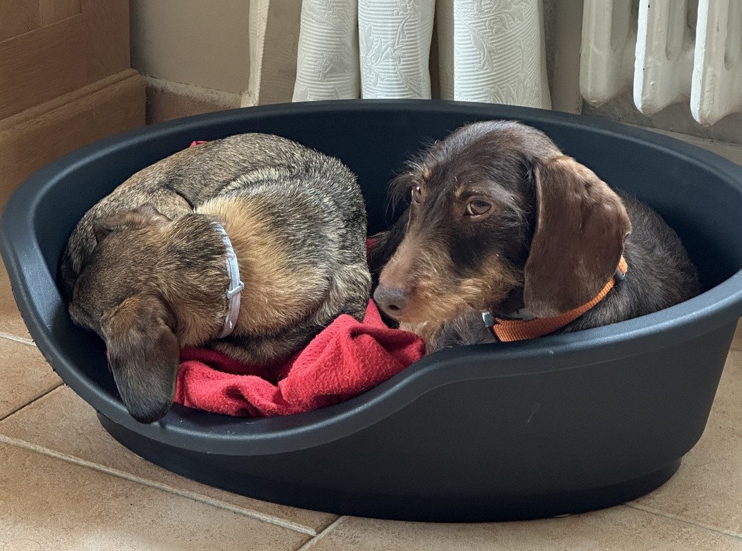 [Image: IMG-5218.jpg]