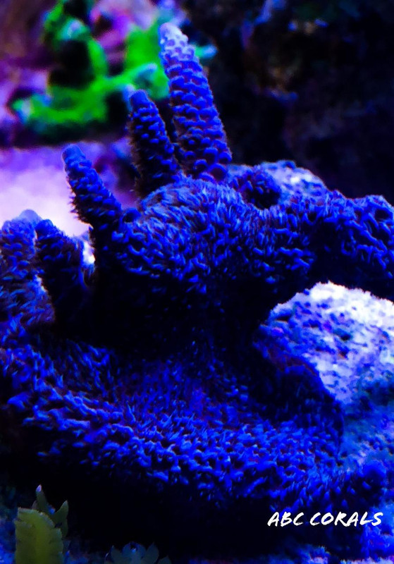 6E2F9865-DF17-4602-95CD-448739BA01C9