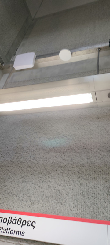 IMG20230808121005.jpg