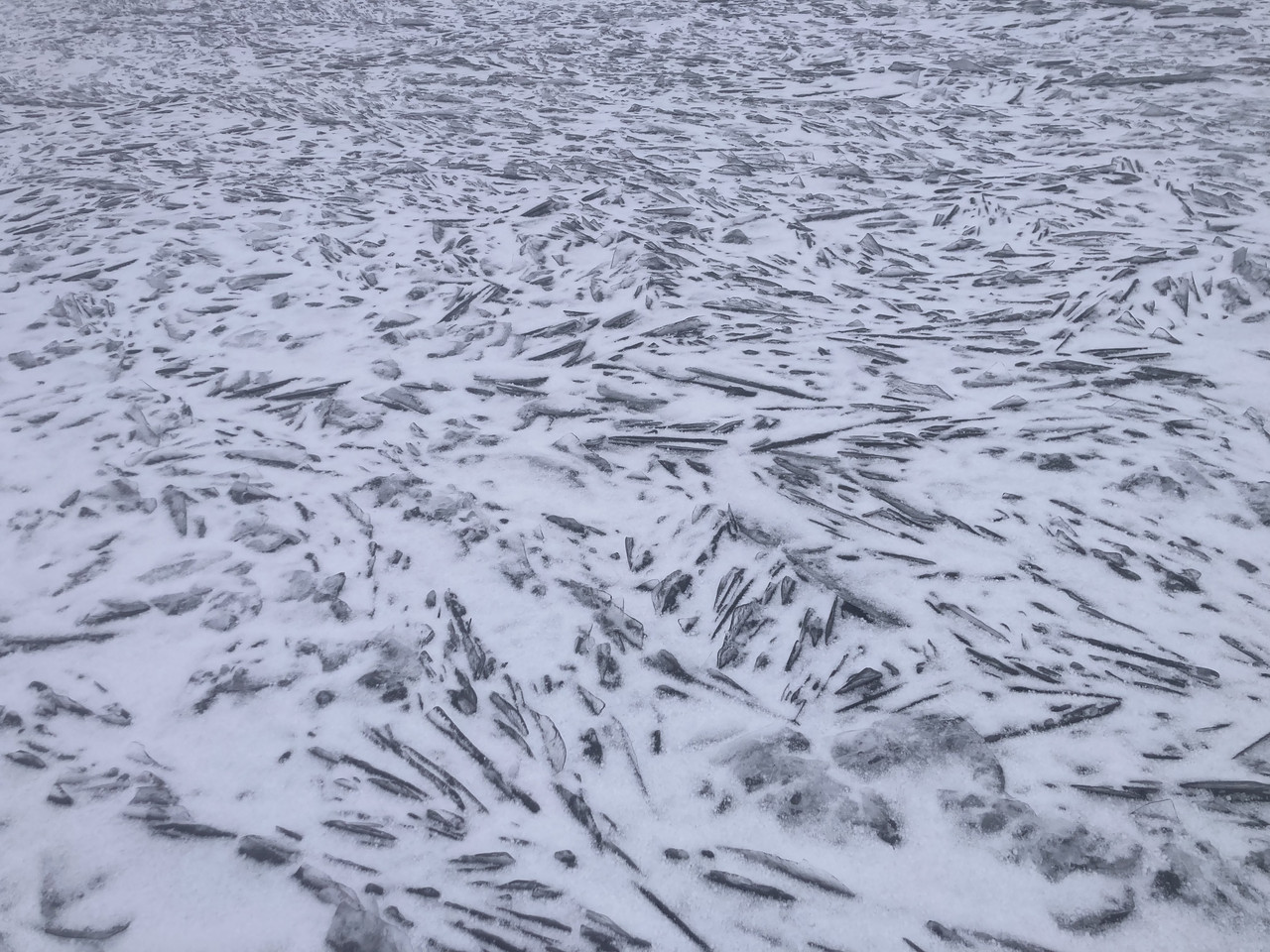 FC8F82A7 5A18 452D 9BE1 0D497B60ED01