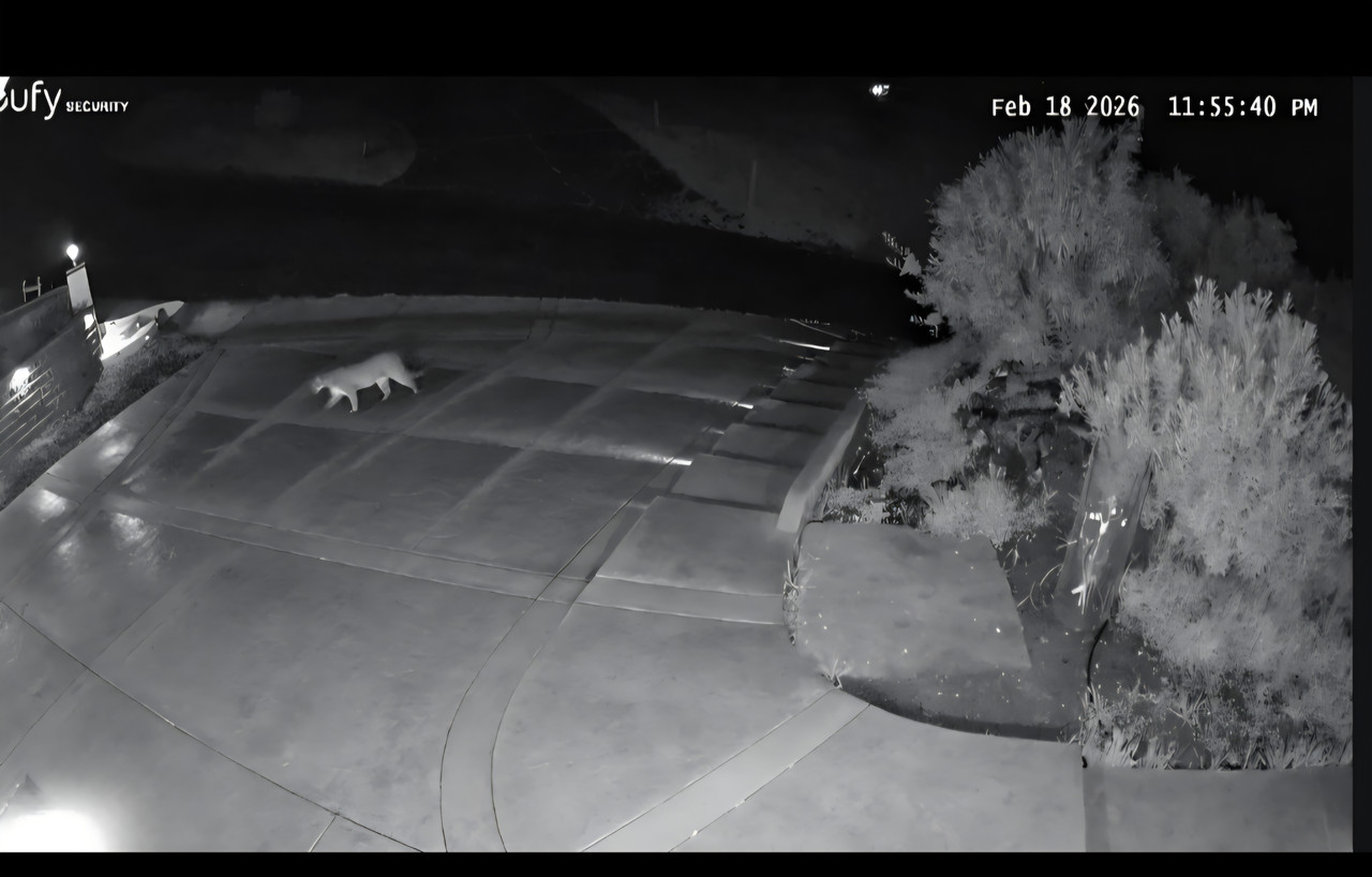 Screenshot 20260220 074036 Gallery