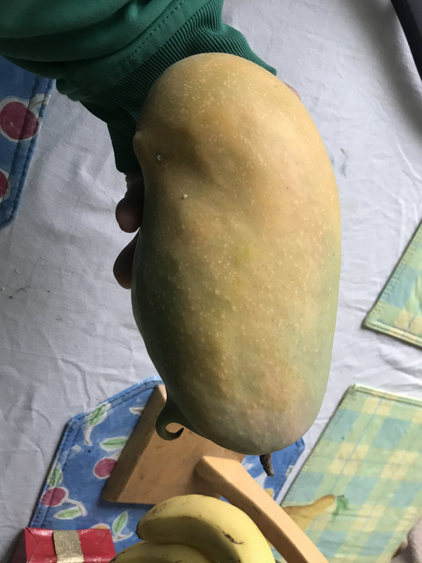 B9A2F834-33A0-43B3-8B89-B33D740B56FA