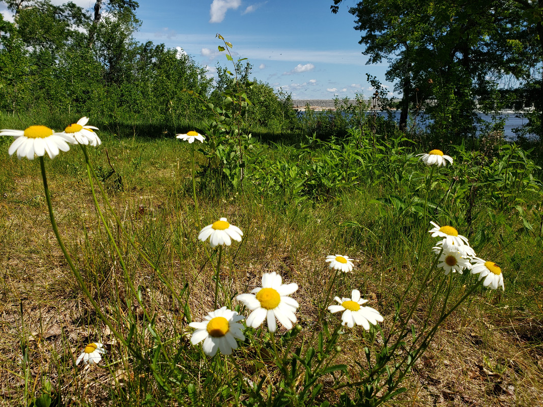 [Image: 20190623-112602.jpg]