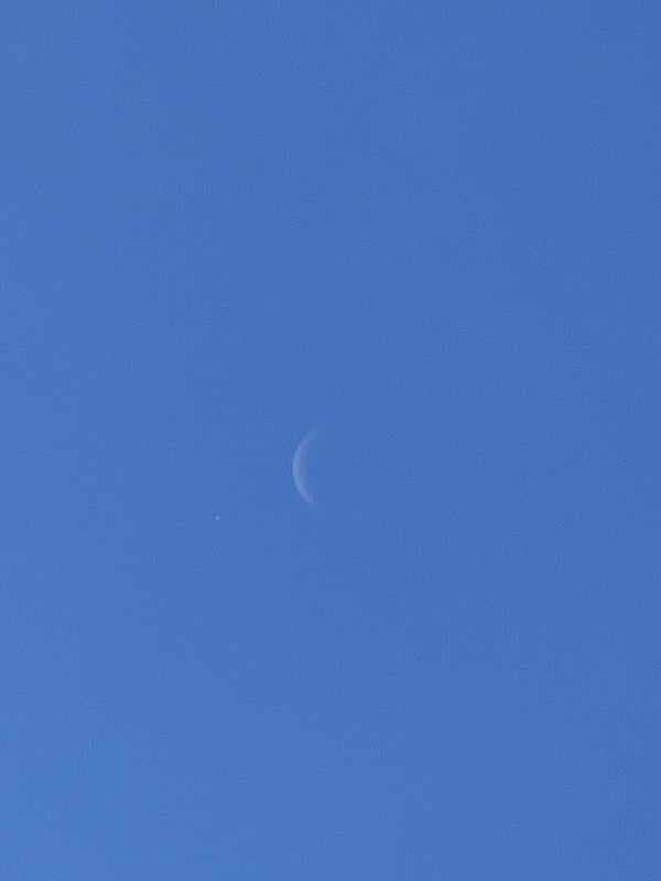 IMG_4048