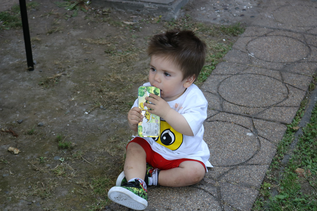IMG-6447