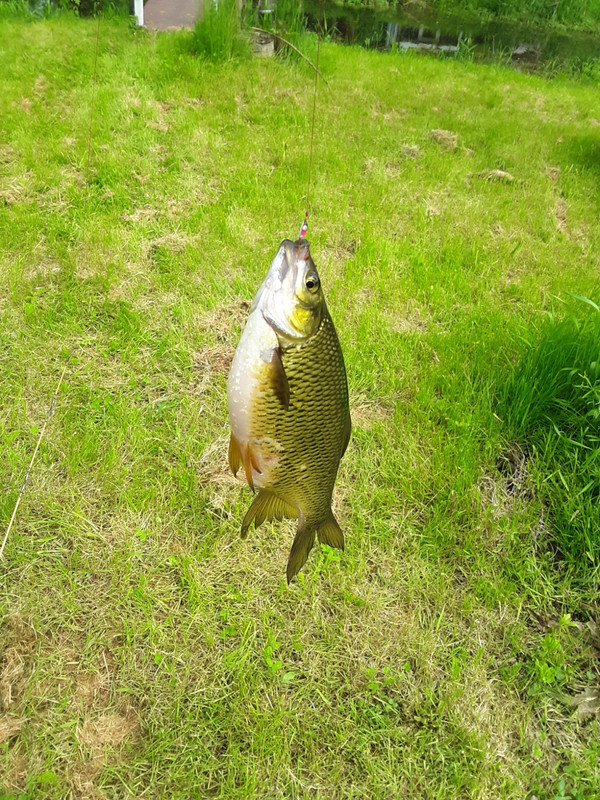 E34D2D6E-0CCB-44E0-BE6E-6D1B156D98D3