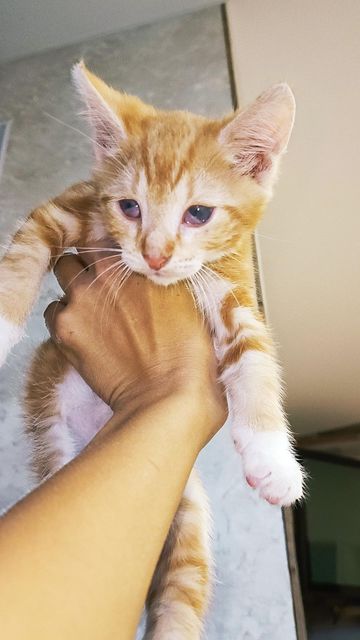 295956859_1140509763477090_8368670530893837289_n