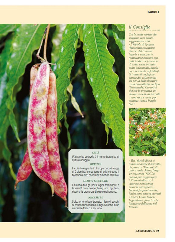 Il Mio Giar Ago-Set 2025 (4)