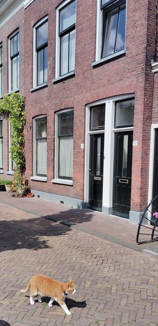 Escapada por Amsterdam - La Haya - Delft - Rotterdam - Leiden - Londres - Blogs de Europa - Museo Mauritshuis, decepcionante Depot Boijmans y callejeo por Delft y Leiden (77)