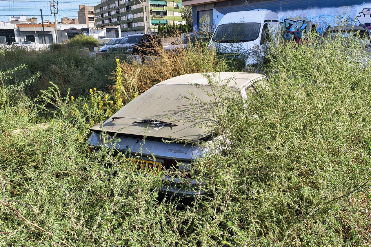 IMG-20261014-160201590-HDR-2.jpg