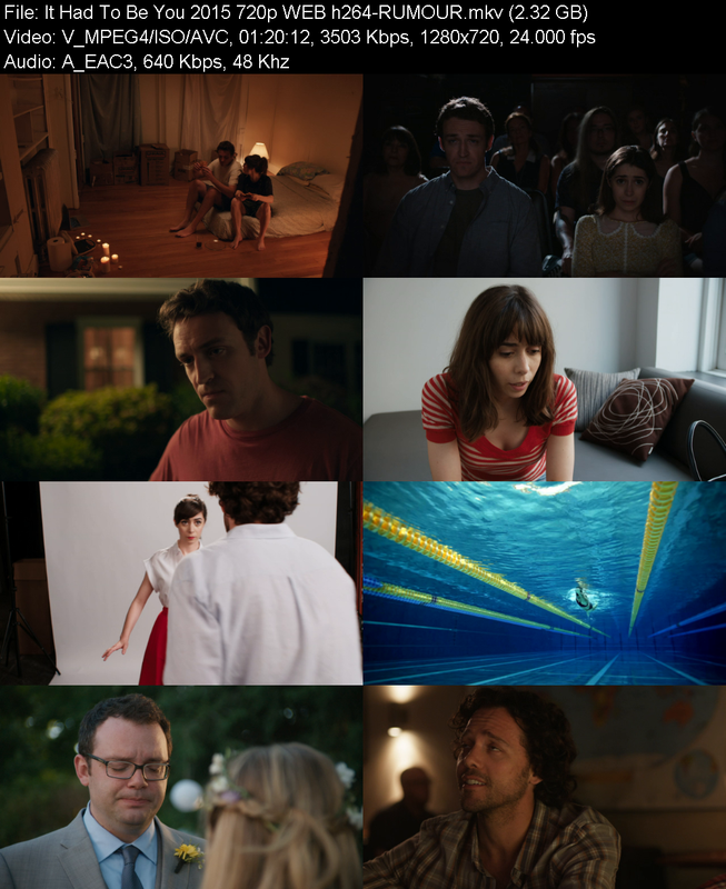 it-had-to-be-you-2015-720p-web-h264-rumo