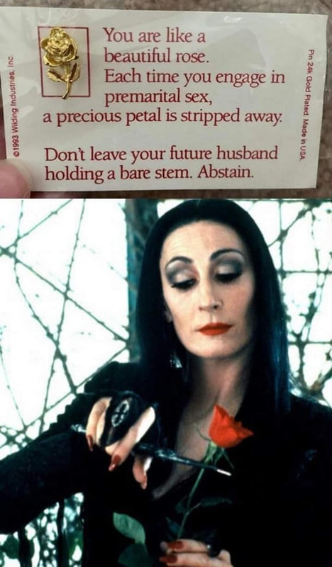 [Image: Petal.jpg]