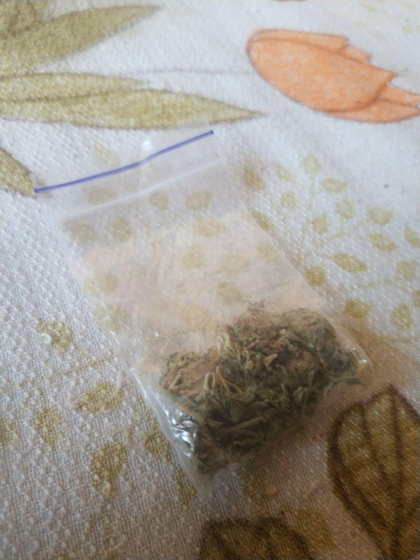 trip2.jpg