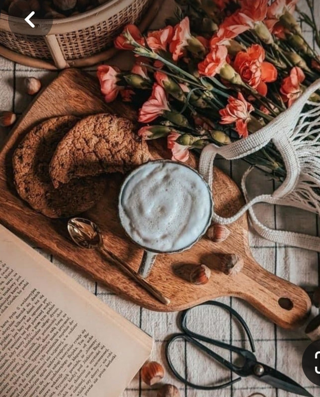 Screenshot_20230911_224751_Pinterest