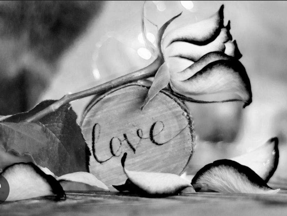 Screenshot_20221203-015513_Chrome