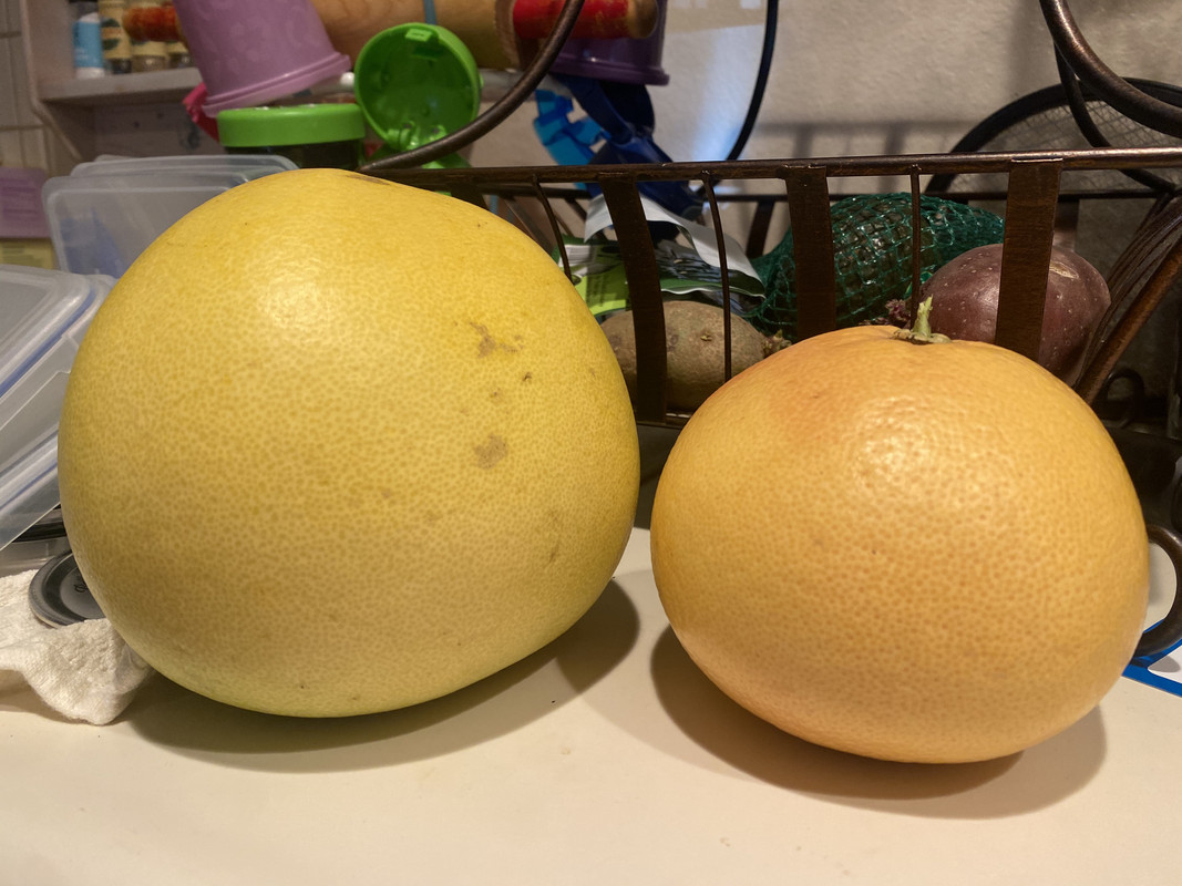 435AADD4-26F8-42CC-AF2E-DAB9316D26F5