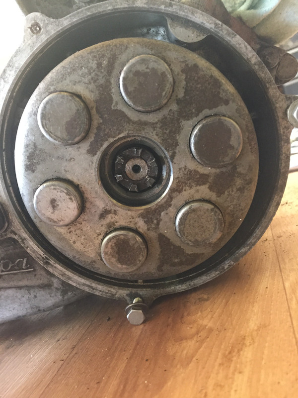 F871A959-13E5-42A5-ADD2-5256CECD7E36