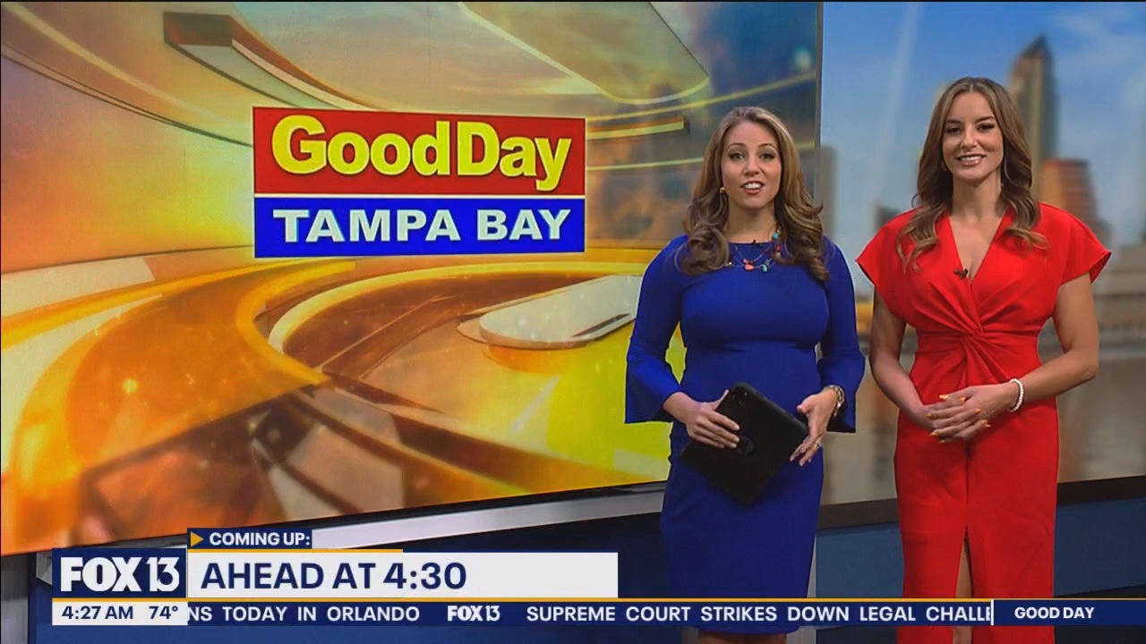 FOX13s Good Day Tampa Bay at 400am_20240614_09000930.ts_snapshot_28.09.608