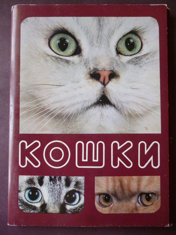 P1350359_новый размер