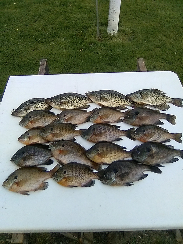 and then came the rest