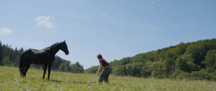 Windstorm-4-Il-vento-sta-cambiando-2019-