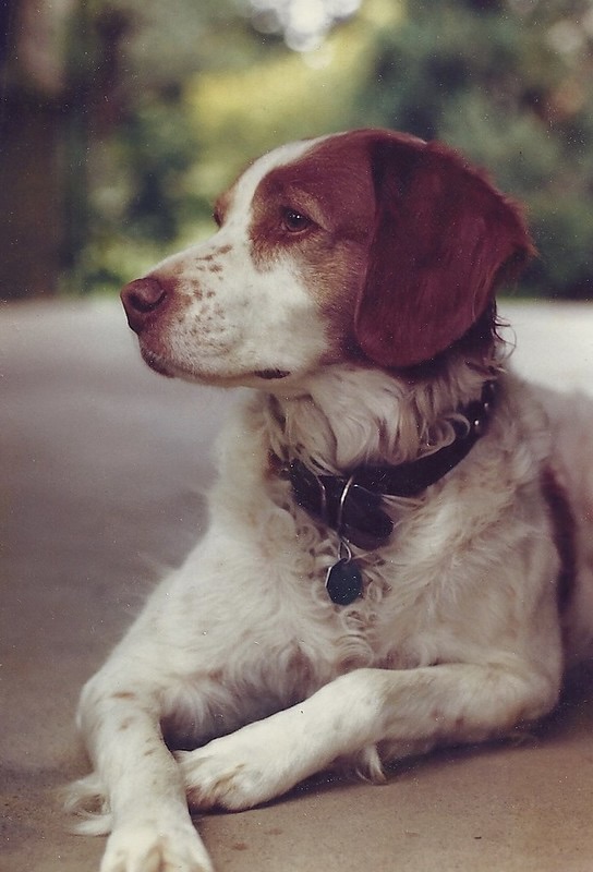 38369131506_c31b43ffd4_c (1)