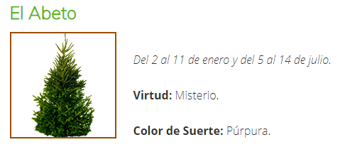 [Imagen: 03-El-Abeto.png]