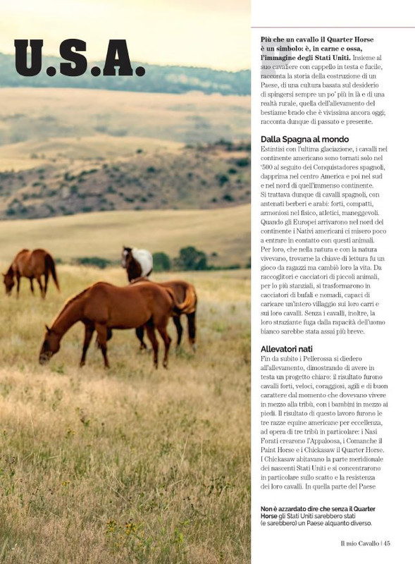 Il Mio Cav (Feb 2023) 8