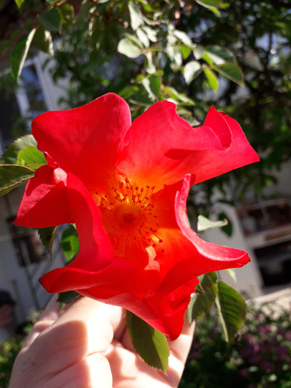 20190430_084721