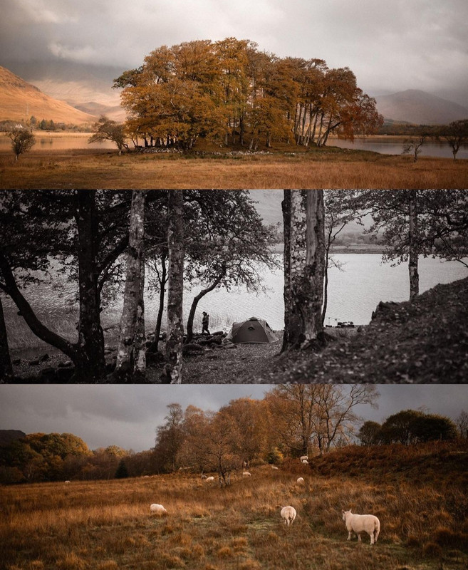 Screenshot_20231127_172102_Instagram