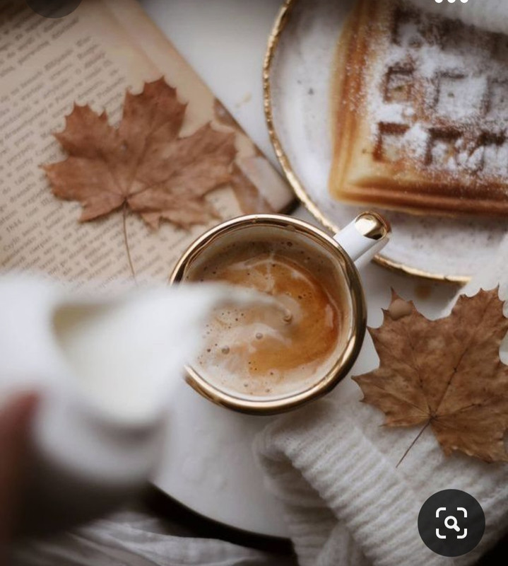 Screenshot_20231008_222616_Pinterest