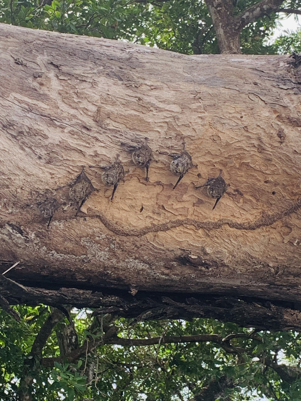 6FE7464E-A637-449F-A572-108CB1B7B0ED