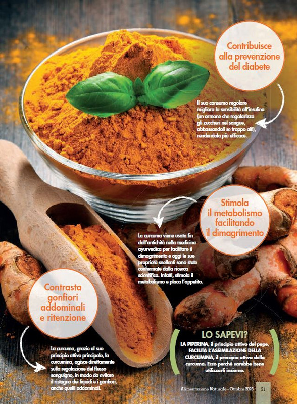 Alim Nat Ott 2023 (6)