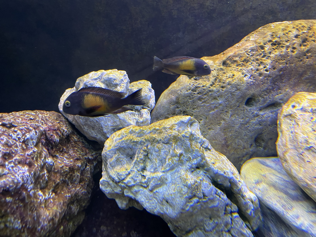 682DE5AB-4DB7-48EB-9C6E-CFE428D17C08