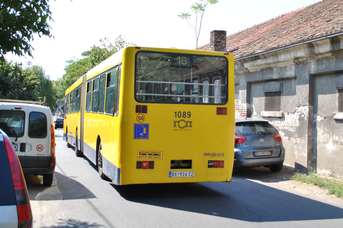 CSC_0245