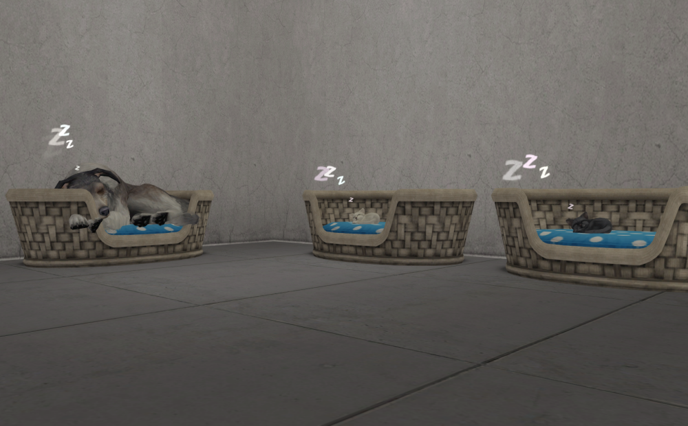 Sims2-EP9-RPC-2021-06-29-20-50-03-68